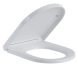 Toilet-Seat_open-2